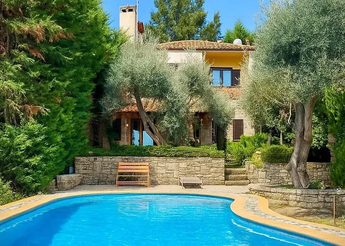 Forest By Granari Vilă Kriopigi