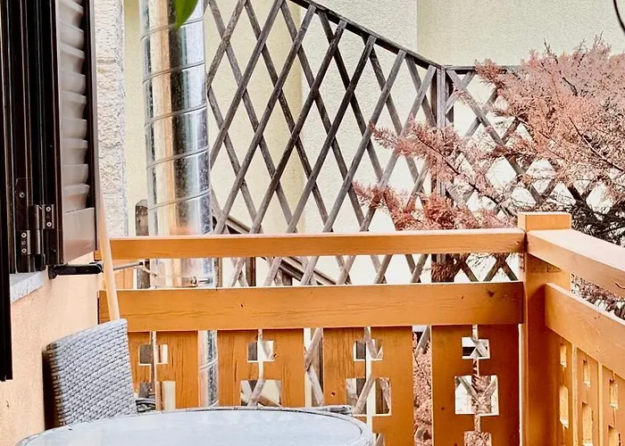 Forest By Granari * Kriopigi